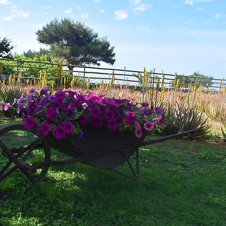 Il Giardino Delle Aloe Guest House Favignana Eksteriør bilde