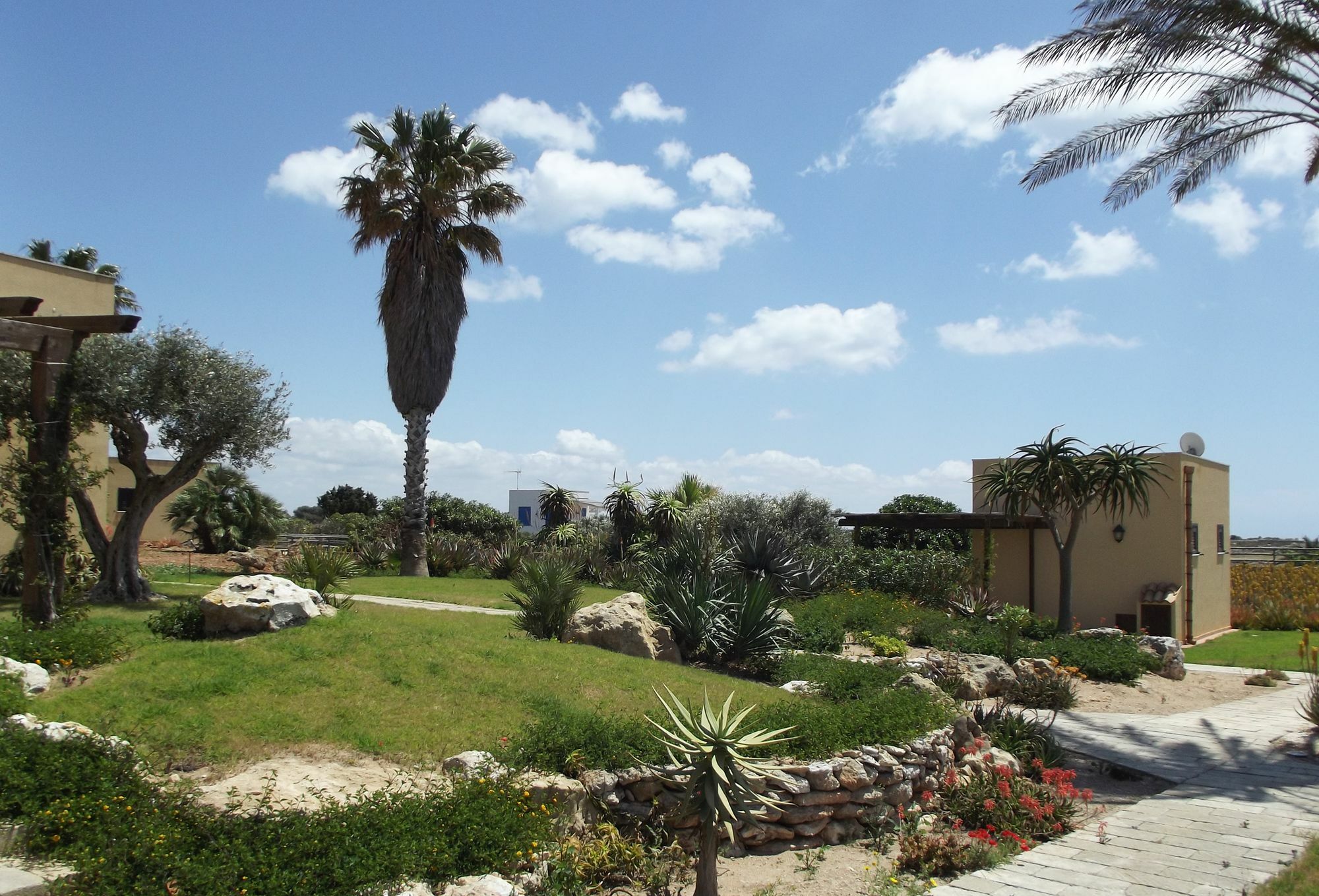 Il Giardino Delle Aloe Guest House Favignana Eksteriør bilde