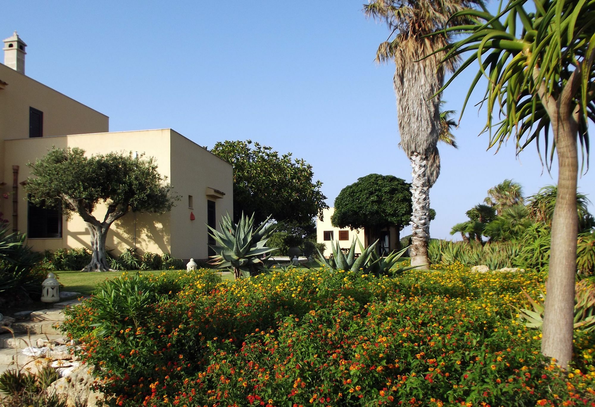 Il Giardino Delle Aloe Guest House Favignana Eksteriør bilde