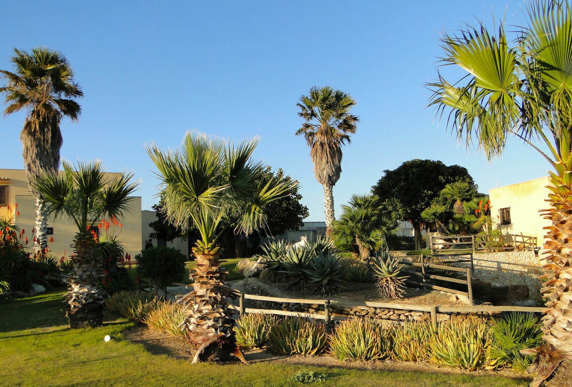 Il Giardino Delle Aloe Guest House Favignana Eksteriør bilde